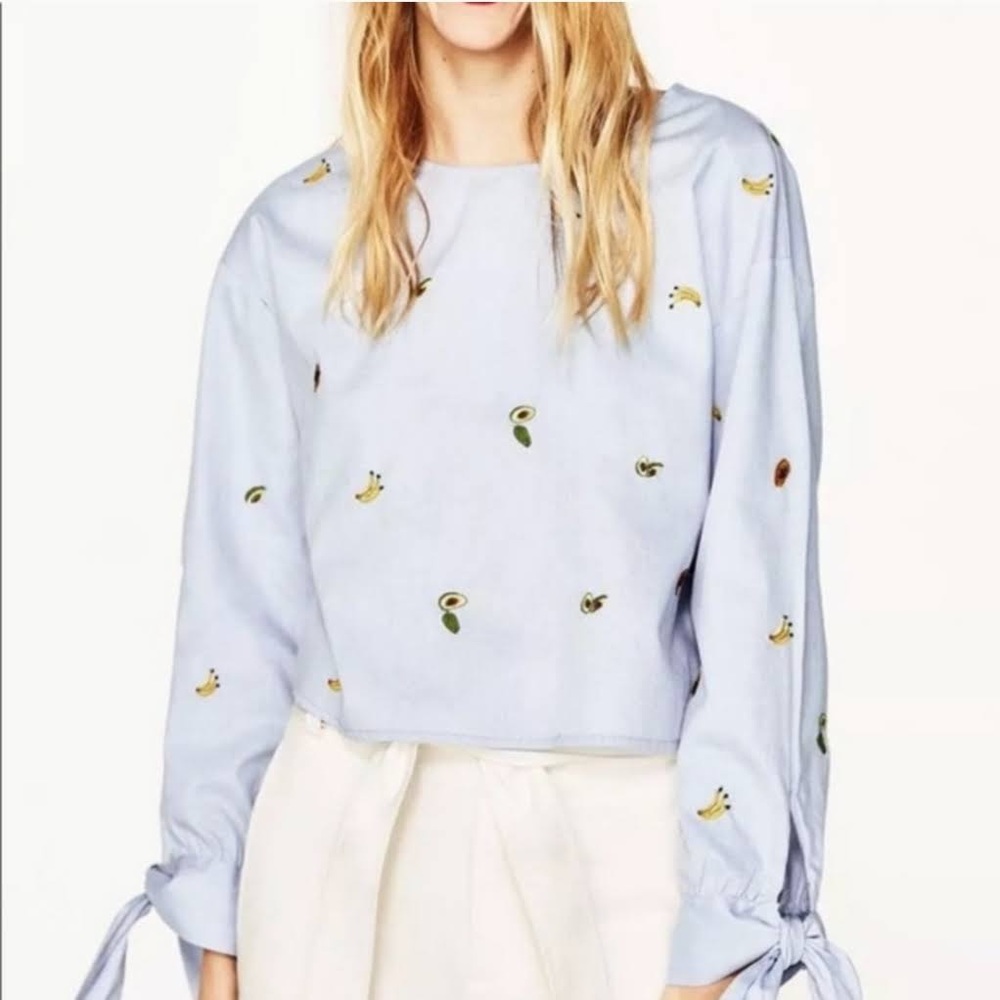Zara Embroidered Fruit Open Back Tie Sleeve Blouse Light Blue Size M